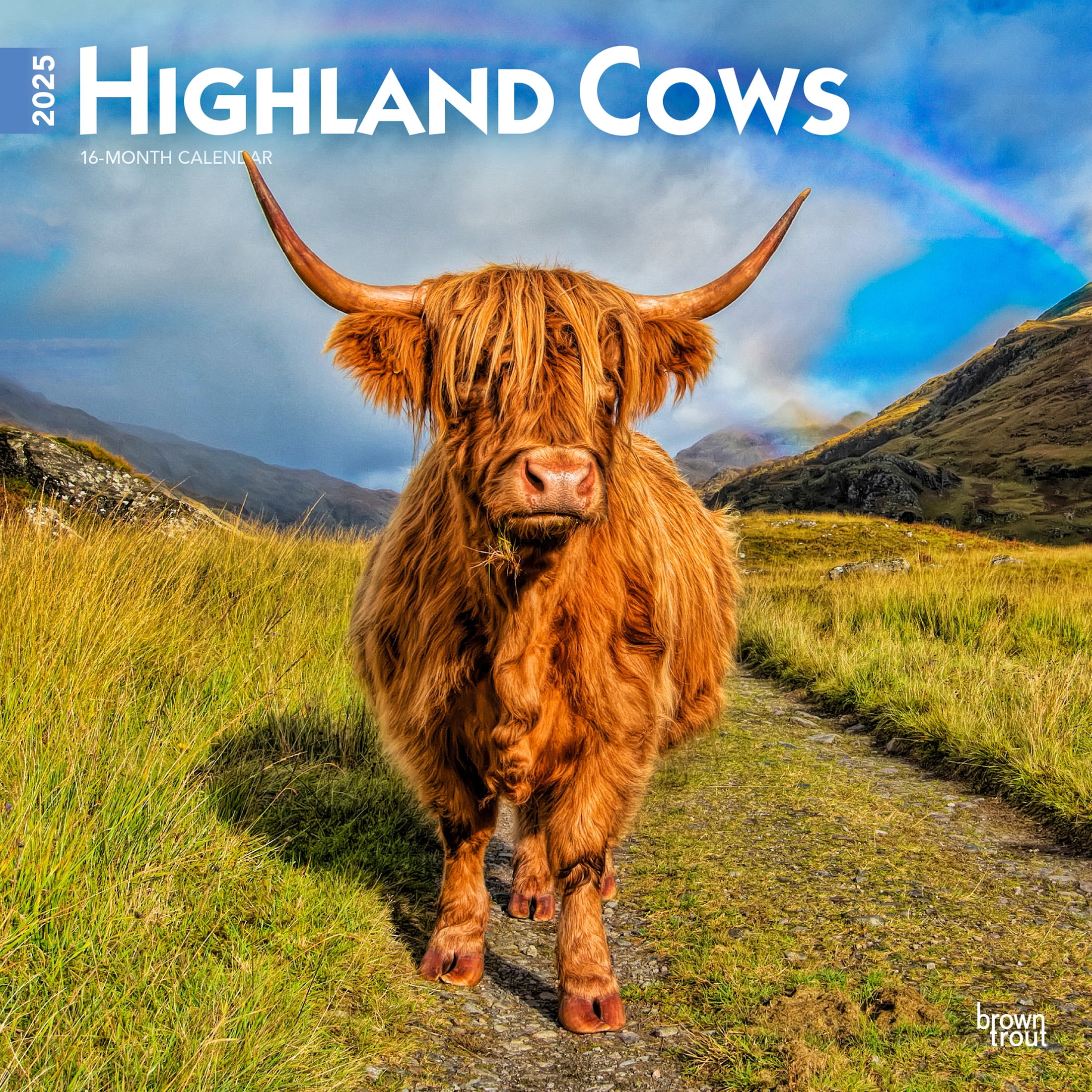 Highland Cows | 2025 12x24" (Hanging) Wall Calendar | Plastic-Free ...
