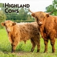 thumbnail image 1 of Highland Cows | 2026 7x14" (Hanging) Monthly Mini Wall Calendar | BrownTrout, 1 of 9