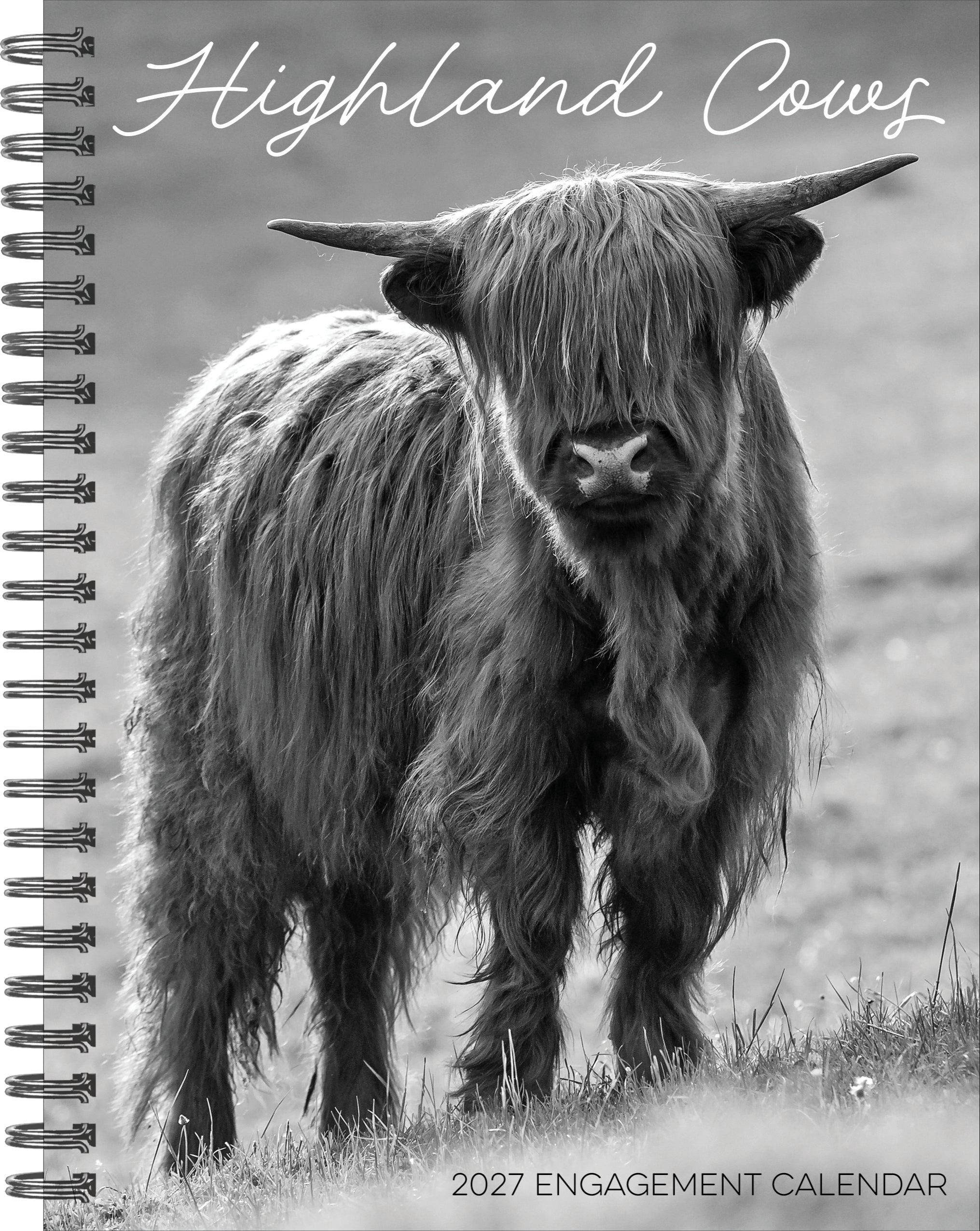 Willow Creek Press, Highland Cows 2027 Engagement Calendar