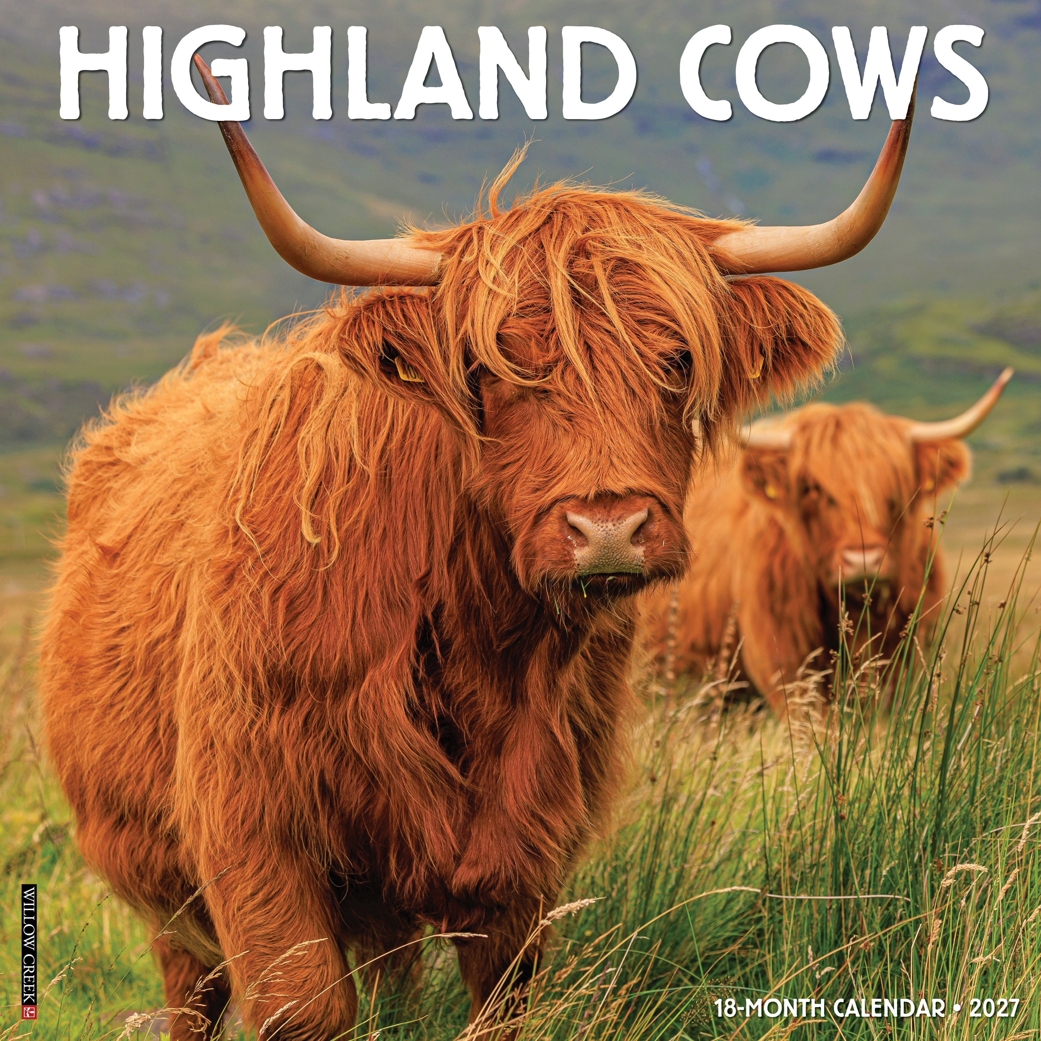 Willow Creek Press, Highland Cows 2027 Wall Calendar