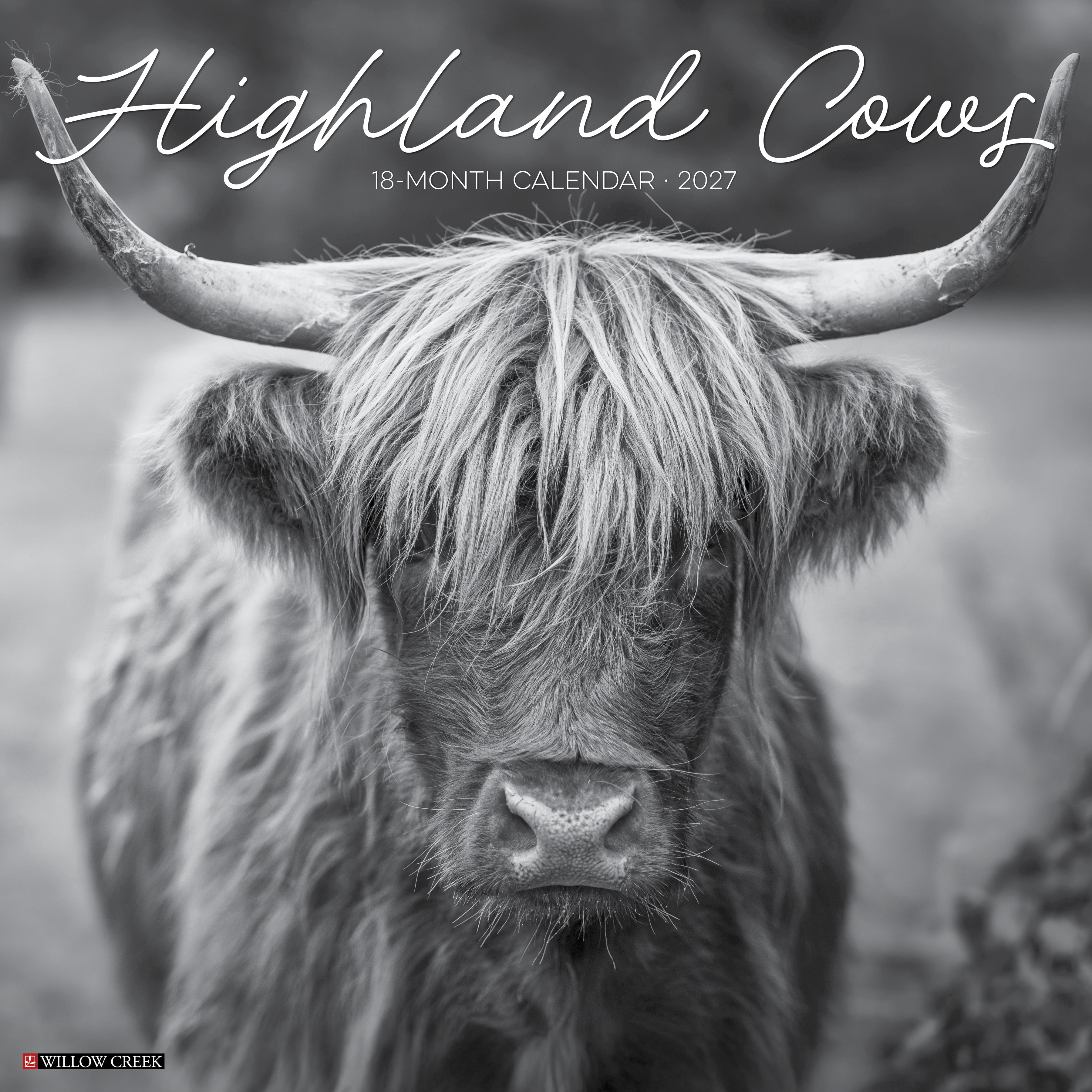 Willow Creek Press, Highland Cows (B&W) 2027 Wall Calendar