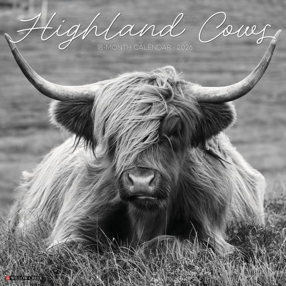 Highland Cows (B&w) 2026 Wall Calendar, (Paperback)