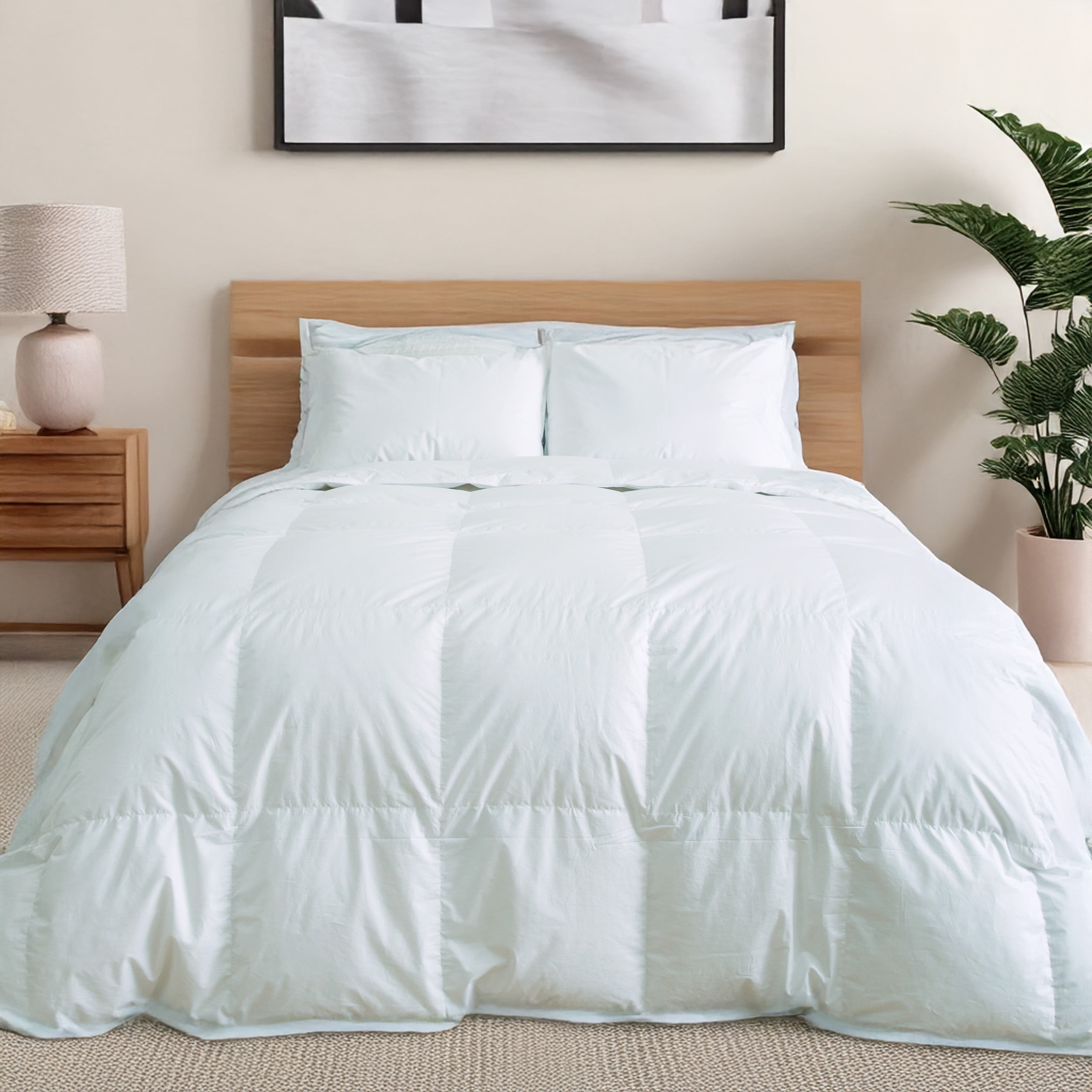 Queen White Duck Down Summer Comforter with Cotton Casing