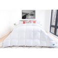 thumbnail image 1 of Highland Feather 725 Loft Canadian Hutterite White Goose Down Duvet 700TC Pure Cotton Casing, 1 of 1