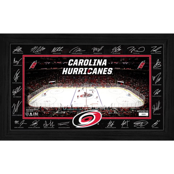 Highland Mint Carolina Hurricanes 2025 Signature Rink Framed Art