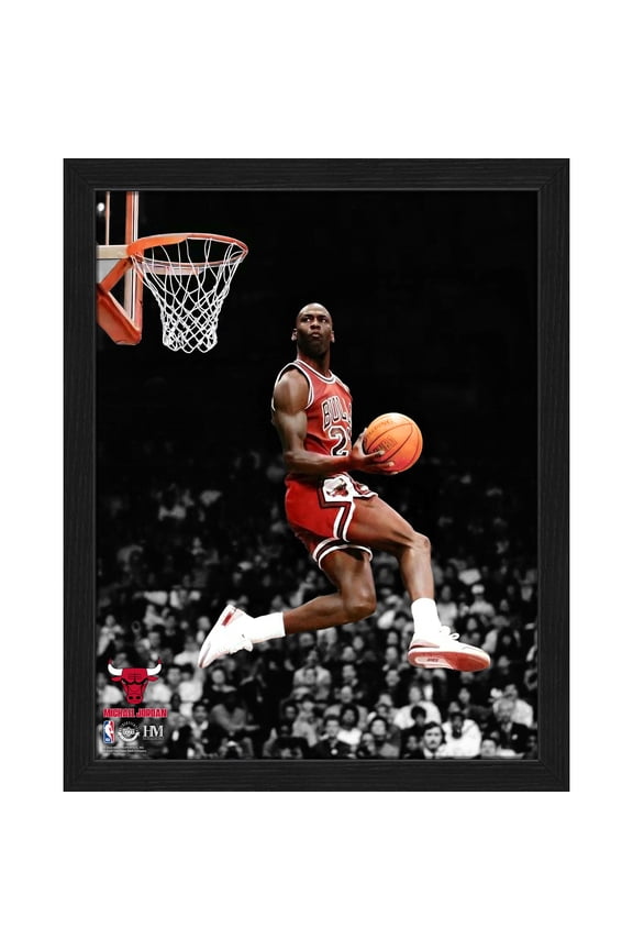 Michael Jordan Chicago Bulls 12" x 15" Legacy Collectible Framed Photo