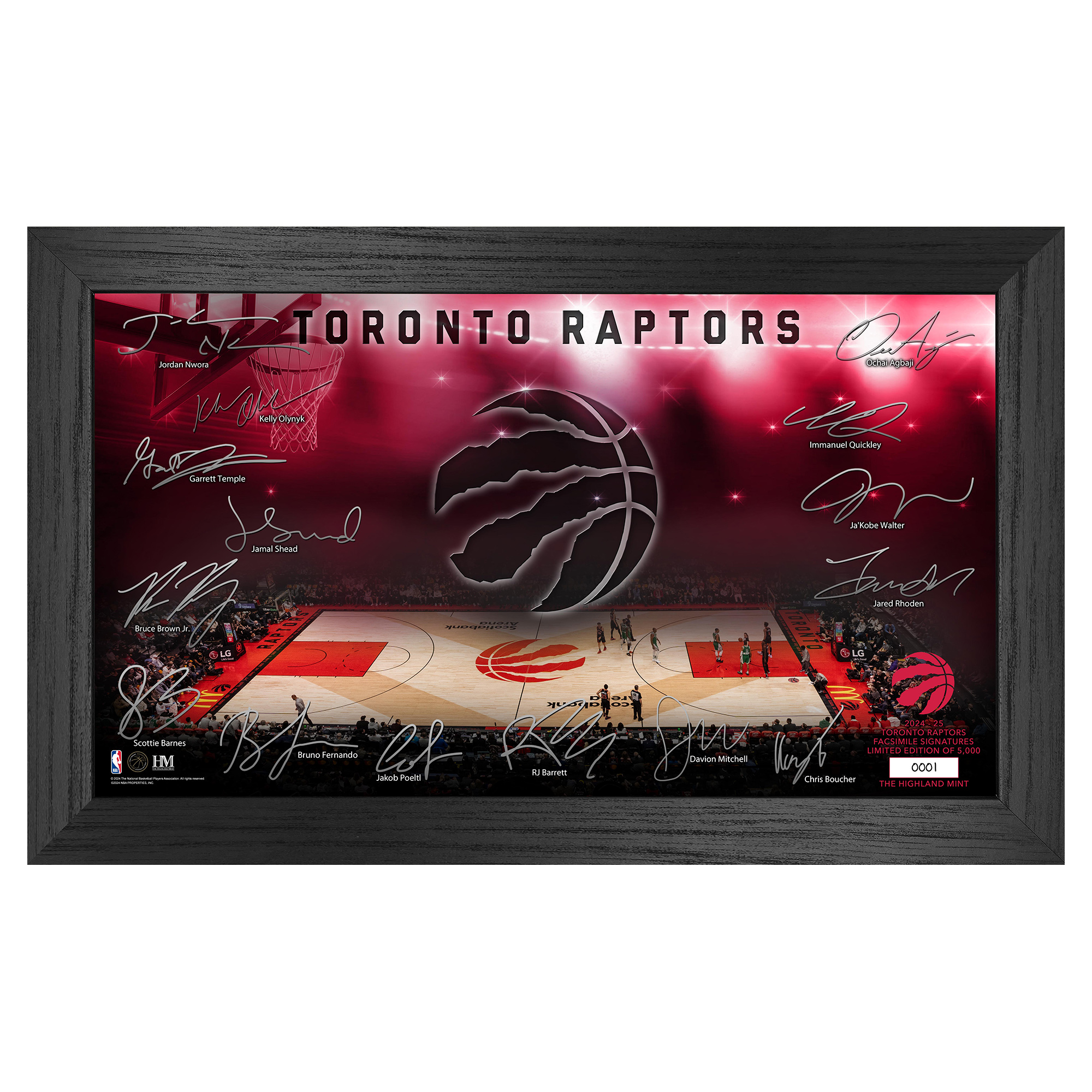 Toronto Raptors Prinouts Highland Mint Toronto Raptors Signature Court Print - Walmart.com