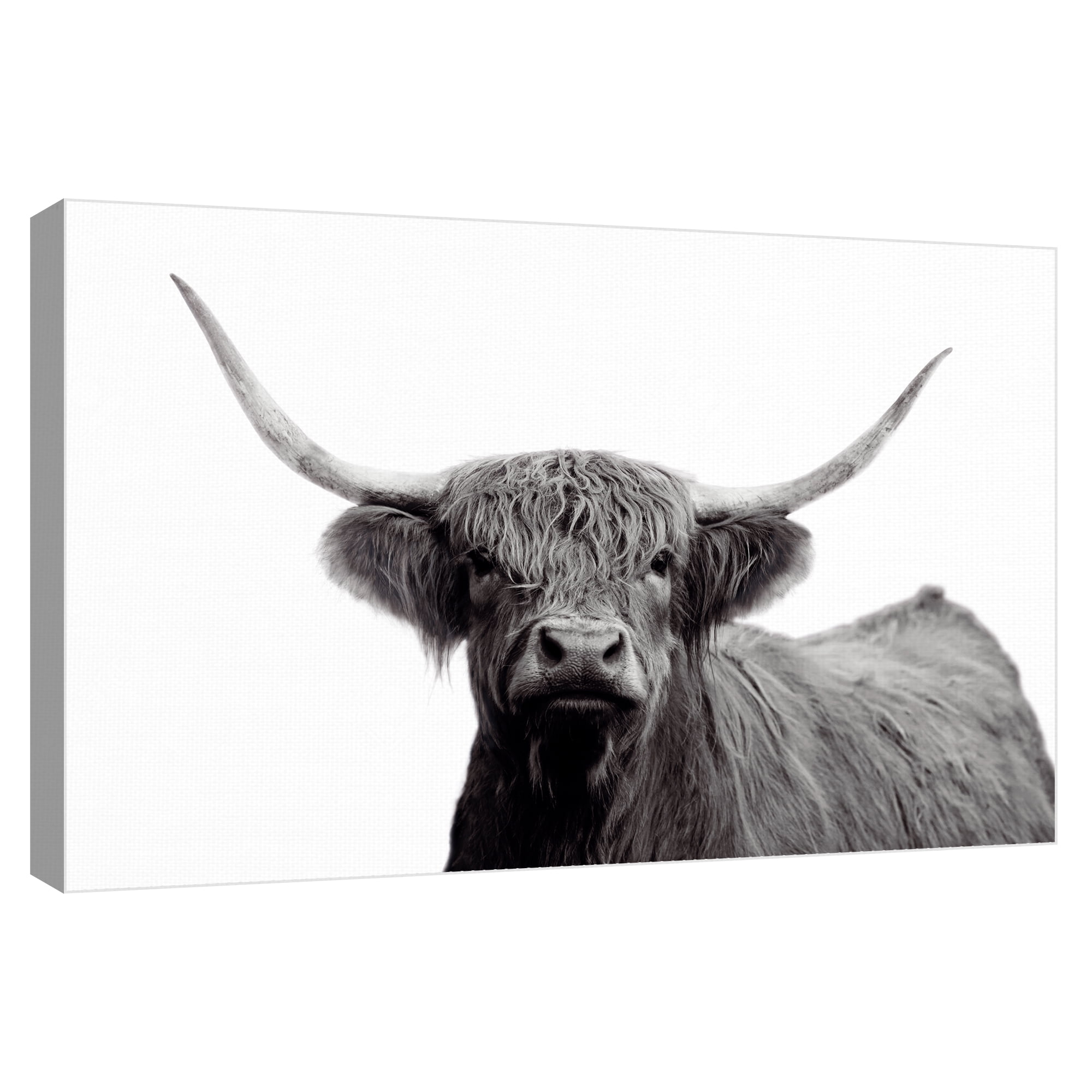 Highland Mist by Bill Philip Canvas Art Print