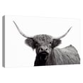 thumbnail image 1 of Highland Mist by Bill Philip Canvas Art Print, 1 of 4