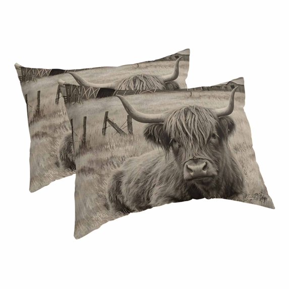 Highland Pillow Covers Decorative Pillow Cases Standard Size Set of 2, Farmhouse Vintage Barn Western Windmill Lumbar Bed Pillow Cover with Envelope Closure for Sofa Bedroom 20x26 Inch