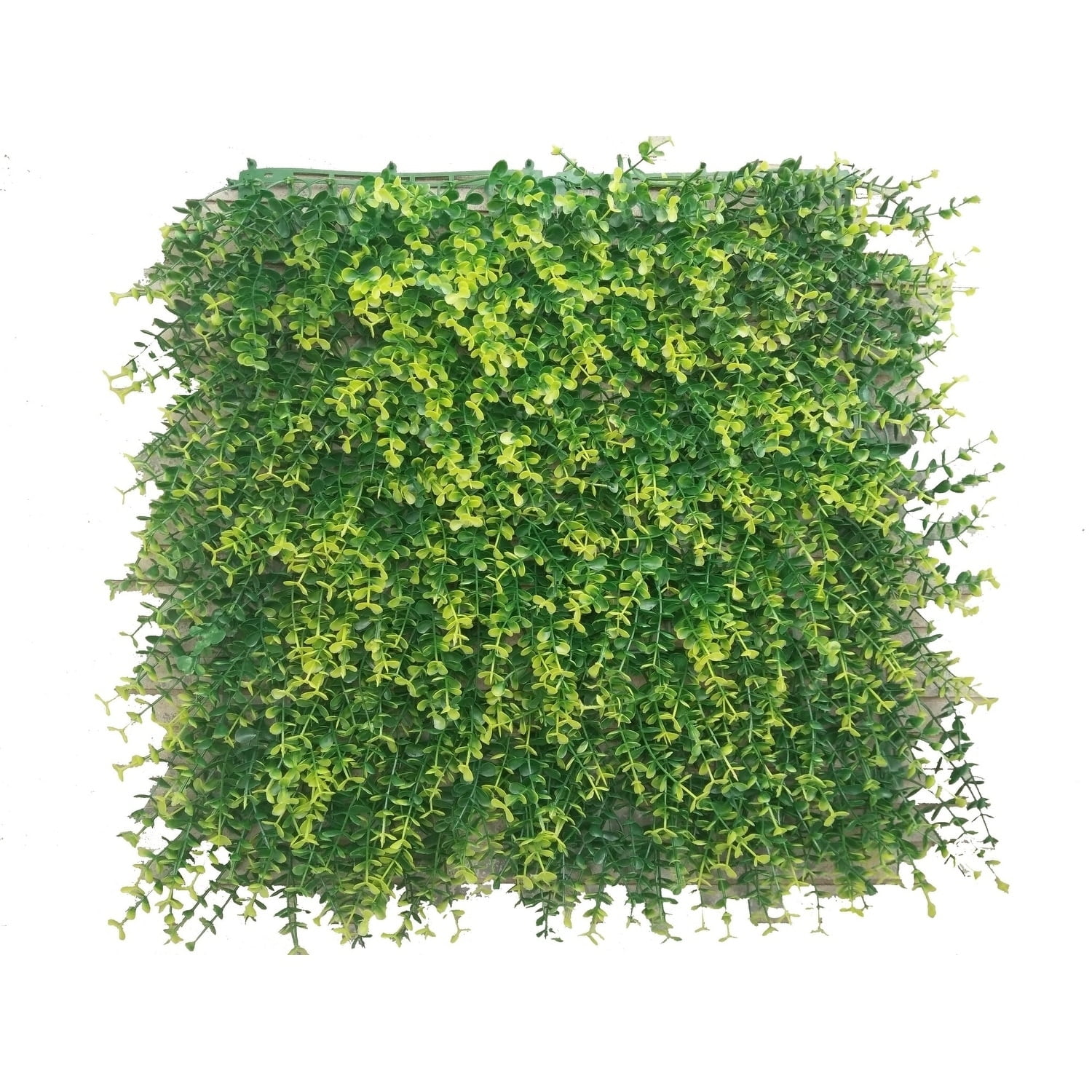  Nearly Natural 6405 Lush Mediterranean Artificial Fern Wall  Panel, 20 x 20, Green : Home & Kitchen