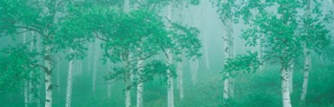 Highlands Yachihokgen Nagano Japan Canvas Art - Panoramic Images (36 x 12)