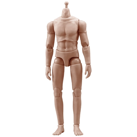 Highly Articulated 1/12 Scale Male Figure Muscle Body With Soft Joints And Realistic 6Inch Muscle Texture For Collector