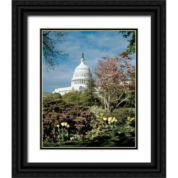 Highmith, Carol 12x14 Black Ornate Wood Framed with Double Matting Museum Art Print Titled - U.S. Capitol, Washington, D.C. Number 3 - Vintage Style Photo Tint Variant