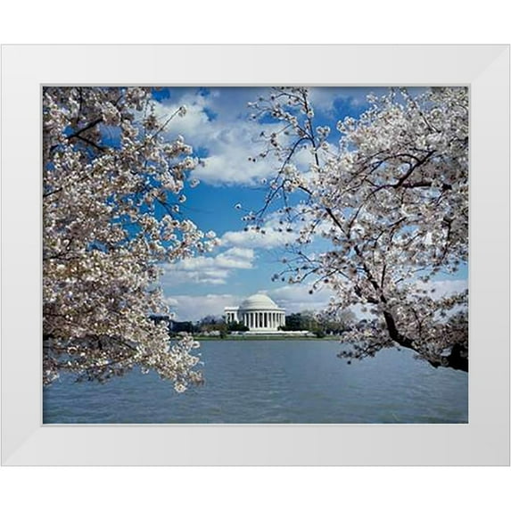Highmith, Carol 14x12 White Modern Wood Framed Museum Art Print Titled - Jefferson Memorial with cherry blossoms, Washington, D.C.