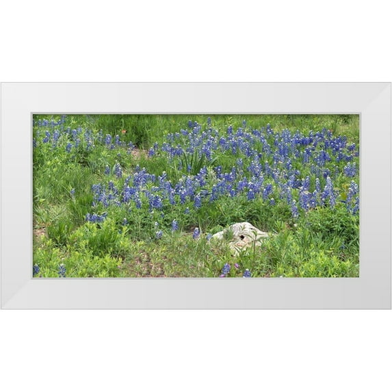 Highmith, Carol 14x9 White Modern Wood Framed Museum Art Print Titled - Bluebonnets at the Lady Bird Johnson Wildflower Center, near Austin, TX
