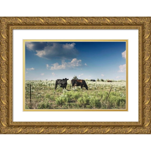 Highmith, Carol 18x13 Gold Ornate Wood Framed with Double Matting Museum Art Print Titled - Cows in a field of wildflowers in rural Hunt County near Greenville, TX
