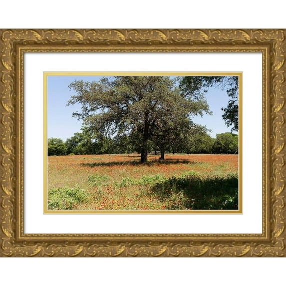 Highmith, Carol 18x14 Gold Ornate Wood Framed with Double Matting Museum Art Print Titled - Shade trees and wildflowers on the LBJ Ranch, near Stonewall in the Texas Hill Country