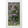 thumbnail image 1 of Highmith, Carol 18x32 White Modern Wood Framed Museum Art Print Titled - Spring flowers in Big Thicket National Preserve, 1 of 4