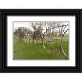 thumbnail image 1 of Highmith, Carol 24x17 Black Ornate Wood Framed with Double Matting Museum Art Print Titled - A fence made of wagon wheels near Schulenburg in Fayette County, TX, 1 of 4