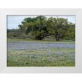 thumbnail image 1 of Highmith, Carol 32x25 White Modern Wood Framed Museum Art Print Titled - Field of bluebonnets in the Texas Hill Country, near Burnet, 1 of 4