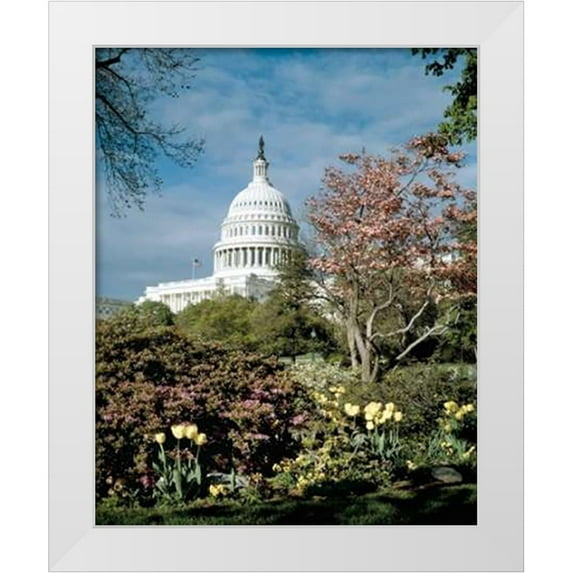 Highsmith, Carol 12x14 White Modern Wood Framed Museum Art Print Titled - U.S. Capitol, Washington, D.C. Number 3 - Vintage Style Photo Tint Variant