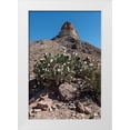 thumbnail image 1 of Highsmith, Carol 13x18 White Modern Wood Framed Museum Art Print Titled - Prickly Pear Cactus and scenery in Big Bend National Park, TX, 1 of 4
