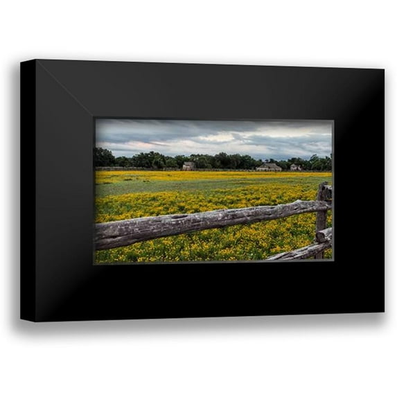 Highsmith, Carol 14x10 Black Modern Framed Museum Art Print Titled - Vivid field of wildflowers in the Lyndon B. Johnson National Historical Park in Johnson City, TX