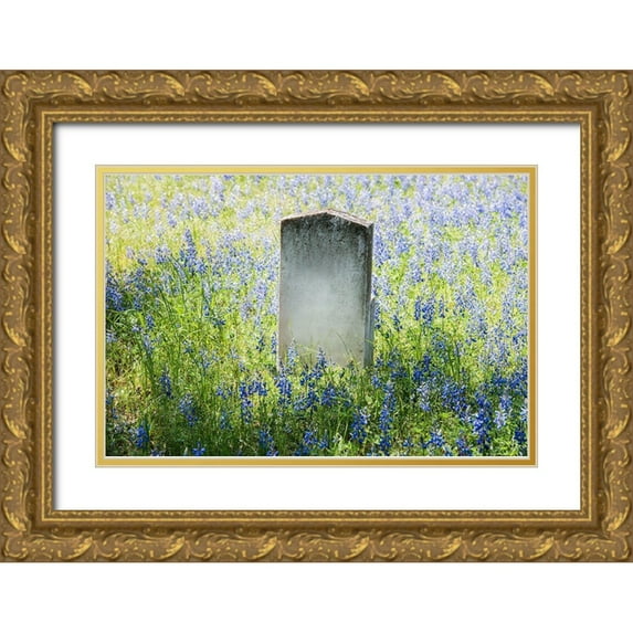 Highsmith, Carol 14x11 Gold Ornate Wood Framed with Double Matting Museum Art Print Titled - Headstone in Field of Flowers