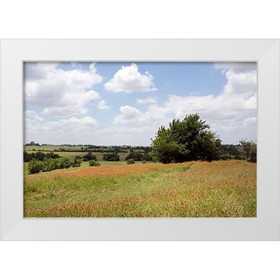 Highsmith, Carol 14x11 White Modern Wood Framed Museum Art Print Titled - A field of wildflowers near Chappel Hill in Austin County, TX, 2014