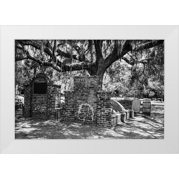 Highsmith, Carol 14x11 White Modern Wood Framed Museum Art Print Titled - Colonial Park Cemetery in Savannah-Georgia
