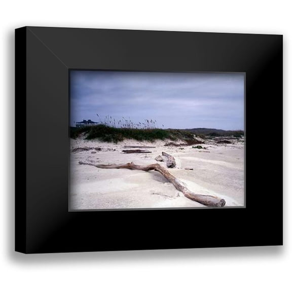 Highsmith, Carol 14x12 Black Modern Framed Museum Art Print Titled - Driftwood on beach at Padre Island, TX