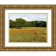 thumbnail image 1 of Highmith, Carol 14x12 Gold Ornate Wood Framed with Double Matting Museum Art Print Titled - A field of wildflowers near the town of Trenton in Fannin County in Northeast Texas, 1 of 4