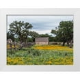 thumbnail image 1 of Highsmith, Carol 14x12 White Modern Wood Framed Museum Art Print Titled - Vivid field of wildflowers in the Lyndon B. Johnson National Historical Park in Johnson City, TX, 1 of 4
