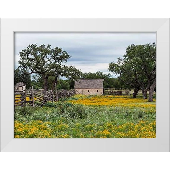 Highsmith, Carol 14x12 White Modern Wood Framed Museum Art Print Titled - Vivid field of wildflowers in the Lyndon B. Johnson National Historical Park in Johnson City, TX