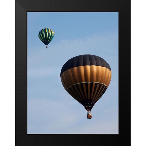 Highsmith, Carol 15x18 Black Modern Framed Museum Art Print Titled - Decatur-Alabama Annual Hot Air Balloon Jubilee Festival