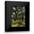 thumbnail image 1 of Highsmith, Carol 17x24 Black Modern Framed Museum Art Print Titled - Shade trees and wildflowers on the LBJ Ranch, near Stonewall in the Texas Hill Country, 1 of 5