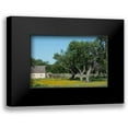 thumbnail image 1 of Highsmith, Carol 18x13 Black Modern Framed Museum Art Print Titled - Horse on a meadow in the Lyndon B. Johnson National Historical Park in Johnson City, TX, 1 of 5