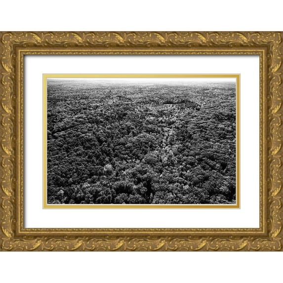 Highsmith, Carol 18x13 Gold Ornate Wood Framed with Double Matting Museum Art Print Titled - Forests near Ogunquit-Maine