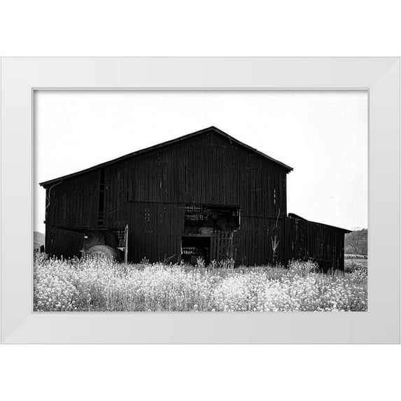 Highsmith, Carol 18x13 White Modern Wood Framed Museum Art Print Titled - A Traditional Black Kentucky Tobacco Barn