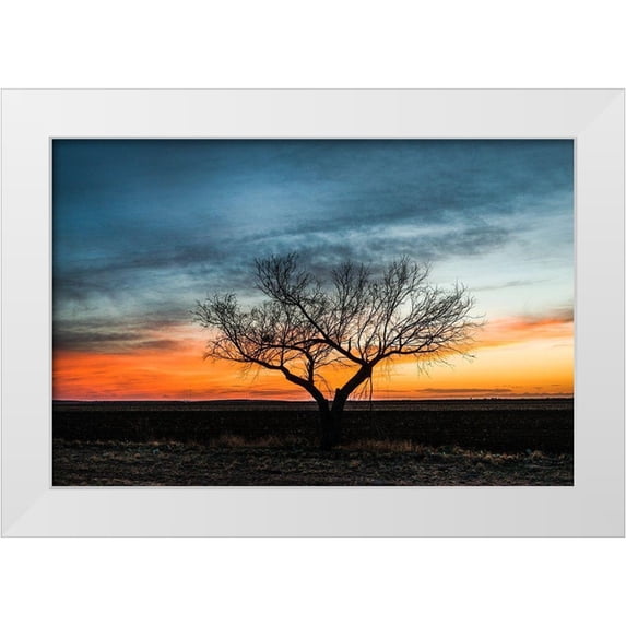 Highsmith, Carol 18x13 White Modern Wood Framed Museum Art Print Titled - Sunset Scene in rural Tom Green County-Texas