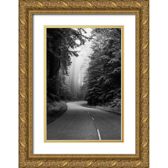 Highsmith, Carol 23x32 Gold Ornate Wood Framed with Double Matting Museum Art Print Titled - Redwood National and State Park on U.S. 101 California