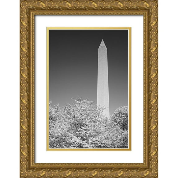 Highsmith, Carol 23x32 Gold Ornate Wood Framed with Double Matting Museum Art Print Titled - The Washington Monument in Washington-D.C.