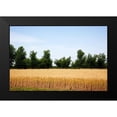 thumbnail image 1 of Highsmith, Carol 24x17 Black Modern Framed Museum Art Print Titled - A Wheat Field in Atmore Alabama, 1 of 4
