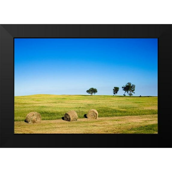 Highsmith, Carol 24x17 Black Modern Framed Museum Art Print Titled - Hay Bales rural Nebraska