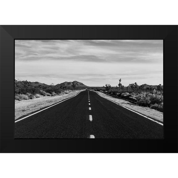 Highsmith, Carol 24x17 Black Modern Framed Museum Art Print Titled - Mojave National Preserve in California