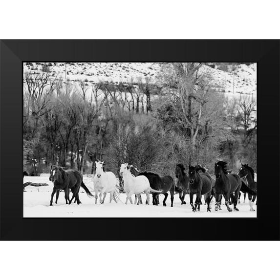 Highsmith, Carol 24x17 Black Modern Framed Museum Art Print Titled - Wild Horses at the Wyoming-Colorado border II