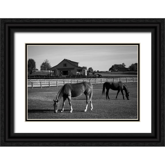 Highsmith, Carol 24x17 Black Ornate Wood Framed with Double Matting Museum Art Print Titled - Horses at a Ranch in Rural Alabama