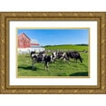 thumbnail image 1 of Highsmith, Carol 24x17 Gold Ornate Wood Framed with Double Matting Museum Art Print Titled - Holstein Dairy Cows at a Farm, 1 of 4