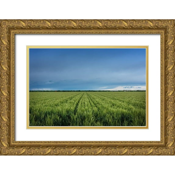 Highsmith, Carol 24x17 Gold Ornate Wood Framed with Double Matting Museum Art Print Titled - Rural Otero County-Colorado